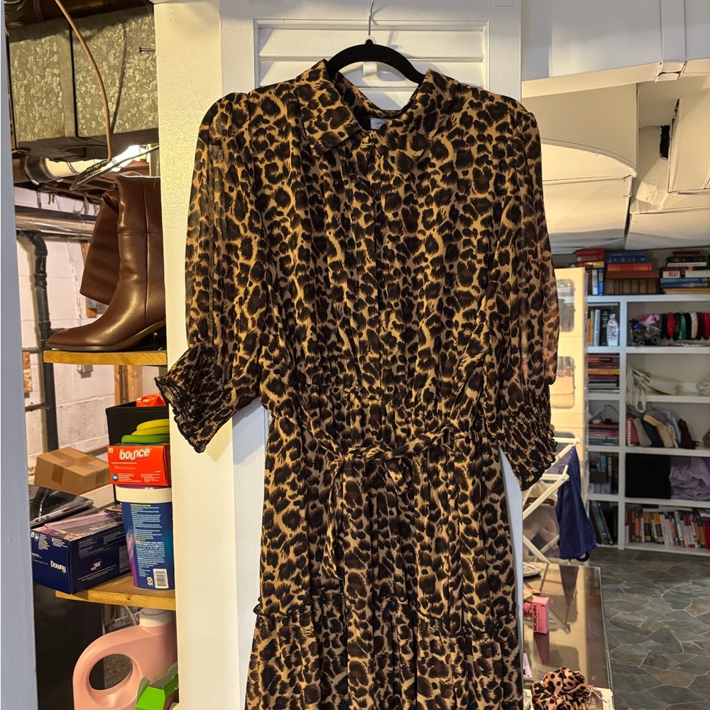 Leopard Print Dress Maxi Dress